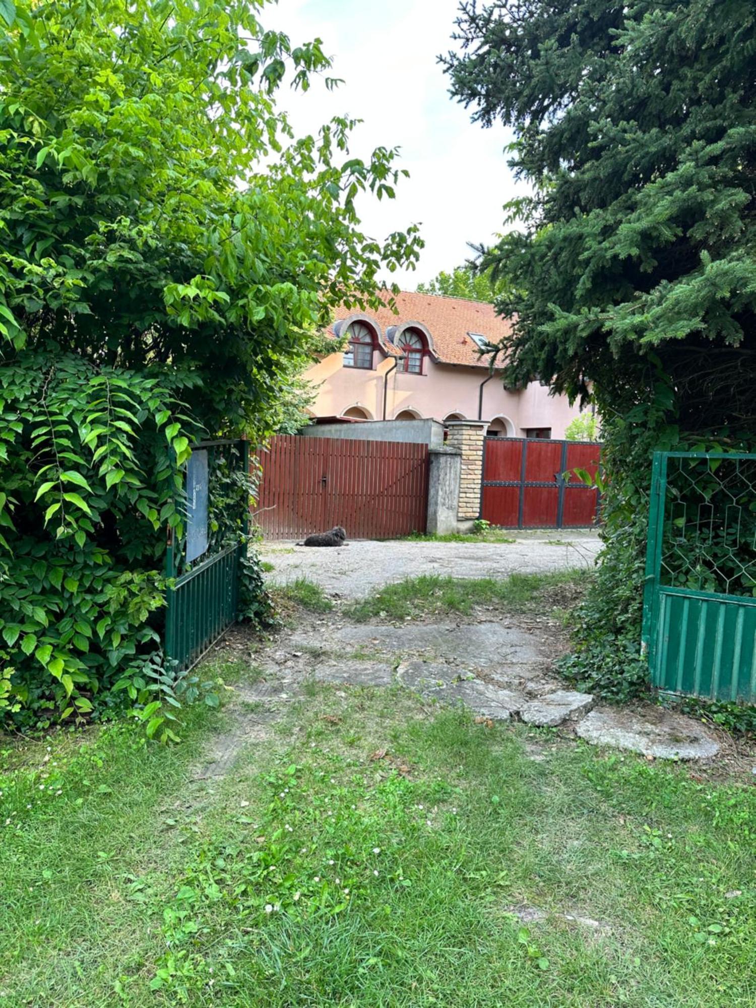 Vila Regina Palić Værelse billede